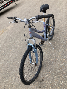 Schwan Mountainbike