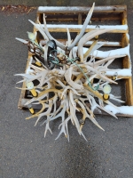 (1) Deer Antler Chandelier (1) Carousel Horse & More! - 4