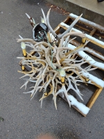 (1) Deer Antler Chandelier (1) Carousel Horse & More! - 7