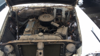 1960 DODGE PHOENIX - CLASSIC PROJECT - 18