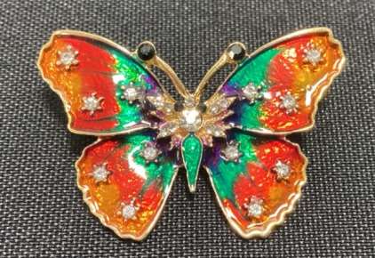 Multicolor Butterfly Pin