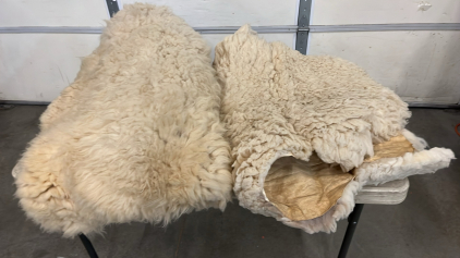 2 Sheepskins