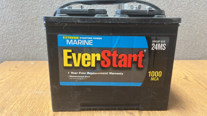 EverStart Auto Battery