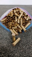 Bag of .38 Special Brass