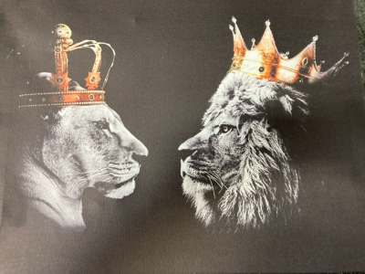 NEW! Lion and Lioness Canvas Print