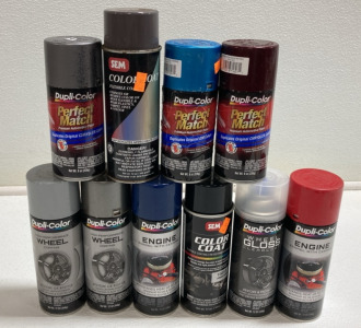 (10) Assorted Automotive Paint