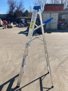 6&rsquo; Werner Aluminum Painters Ladder