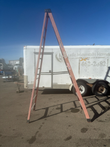Werner 12 Ft Ladder