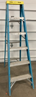 Werner 6&rsquo; Ladder