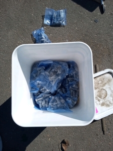 Bucket full of Bolts m" 12x30 10 count