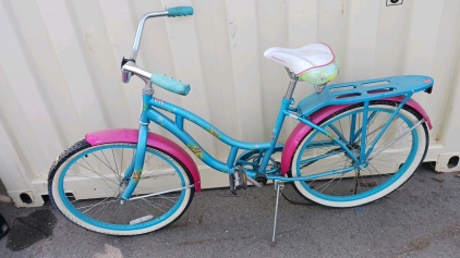 24" Schwinn Delmar Bicycle (Teal/Pink)