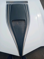 Early 70s late model Camero hood white black gold trim 56"1/2 Wide 58" long good condition - 4