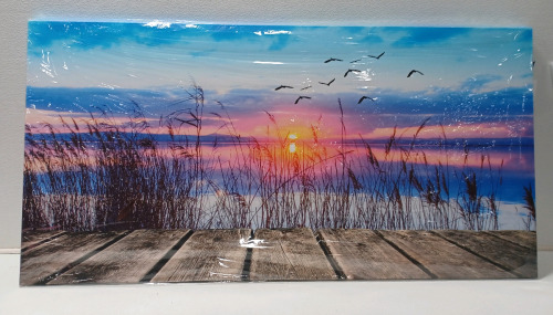 (1) 29 1/2×59 Pink & Blue Sunset On The Lake Wall Picture