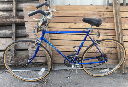 Blue Dynasty Free Spirit Bike
