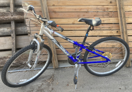 Blue And Silver Outlook Diamondback With Shimano Revoshift Braking System