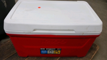 Igloo 48qts Cooler
