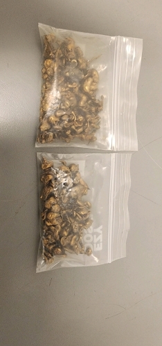 (2) Bags Of Unverified Gold Fillings