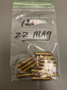 Pack of (12) 22MAG