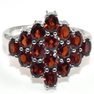 Silver Garnet(3.15ct) Ring