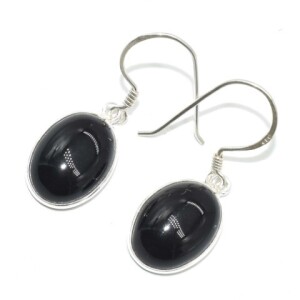 Silver Black Onyx(14.4ct) Earrings