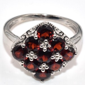 Silver Garnet(2.55ct) Ring