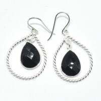 Silver Black Onyx(8.4ct) Earrings - 2