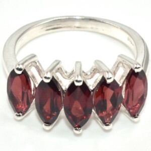 Silver Garnet(2.8ct) Ring