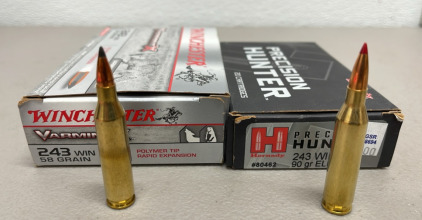 (14) Rounds Of Winchester Varmint X 243 Win. 58 Grain Ammunition Cartridges, (16) Rounds Of Hornady Precision Hunter 243 Win. 90 Grain ELD-X Ammunition Cartridges