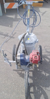 Paint sprayer - 2