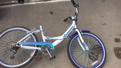 Bayside Woman’s Bike