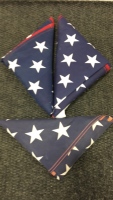 (3) American Flags