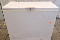 Frigidaire Heavy Duty Commercial Freezer....(SP) - 3