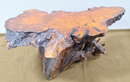 (1) Beautiful Natural Wood Stump Coffee Table