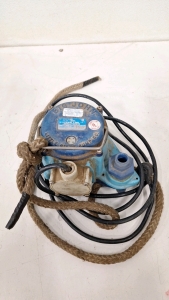 (1) Big John Sump Pump Model 6-CIM