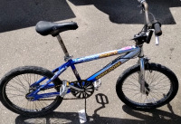 Mongoose BMX Bike