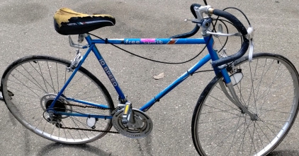 Free Spirit 10 Speed Mountain Bike