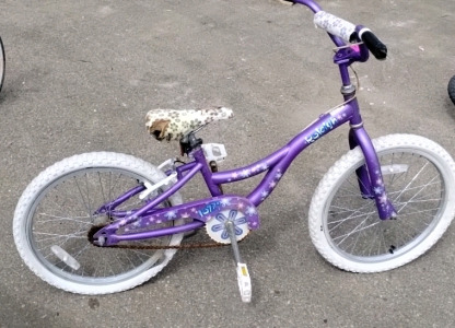 Raleigh Girls Bicycle
