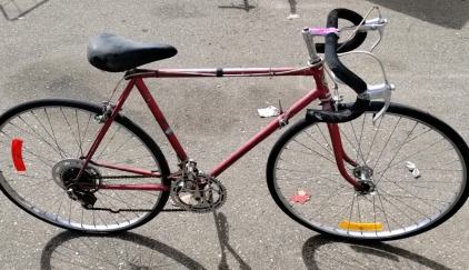 Sears Mountain Bike