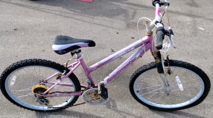 Roadmaster Mountain Bike