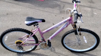Roadmaster Mountain Bike