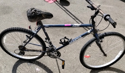 Iron Horse Mountain Bike
