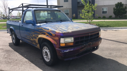 1993 DODGE DAKOTA - METAL BED RACK!