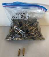 (300) .223 Brass Casings