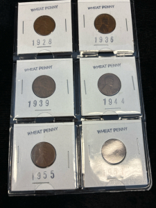 (6) Wheat Pennies