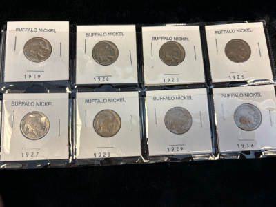 (8) Buffalo Nickels