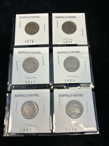 (6) Buffalo Nickels