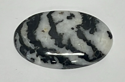 82.15ct. Natural Buffalo Turquoise White-Black Gemstone Cabochon