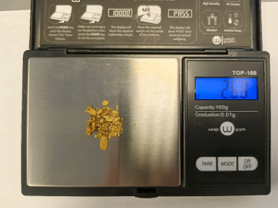 Local Gold 2.68g