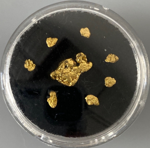 (8) Alaskan Gold Nuggets