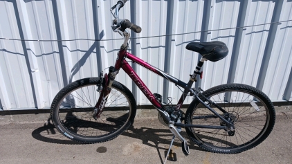 26" Trek Navigator 200 Bicycle (Maroon/Dark Gray)